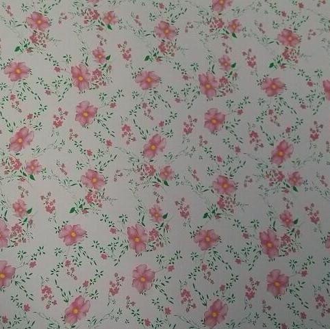 Ral 2169 Z60 90ga schilderde pre het Met een laag bedekte Blad van de Staalplaatgi Kleur 3