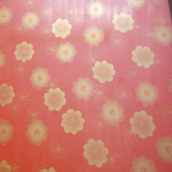 Ral 2169 Z60 90ga schilderde pre het Met een laag bedekte Blad van de Staalplaatgi Kleur 4